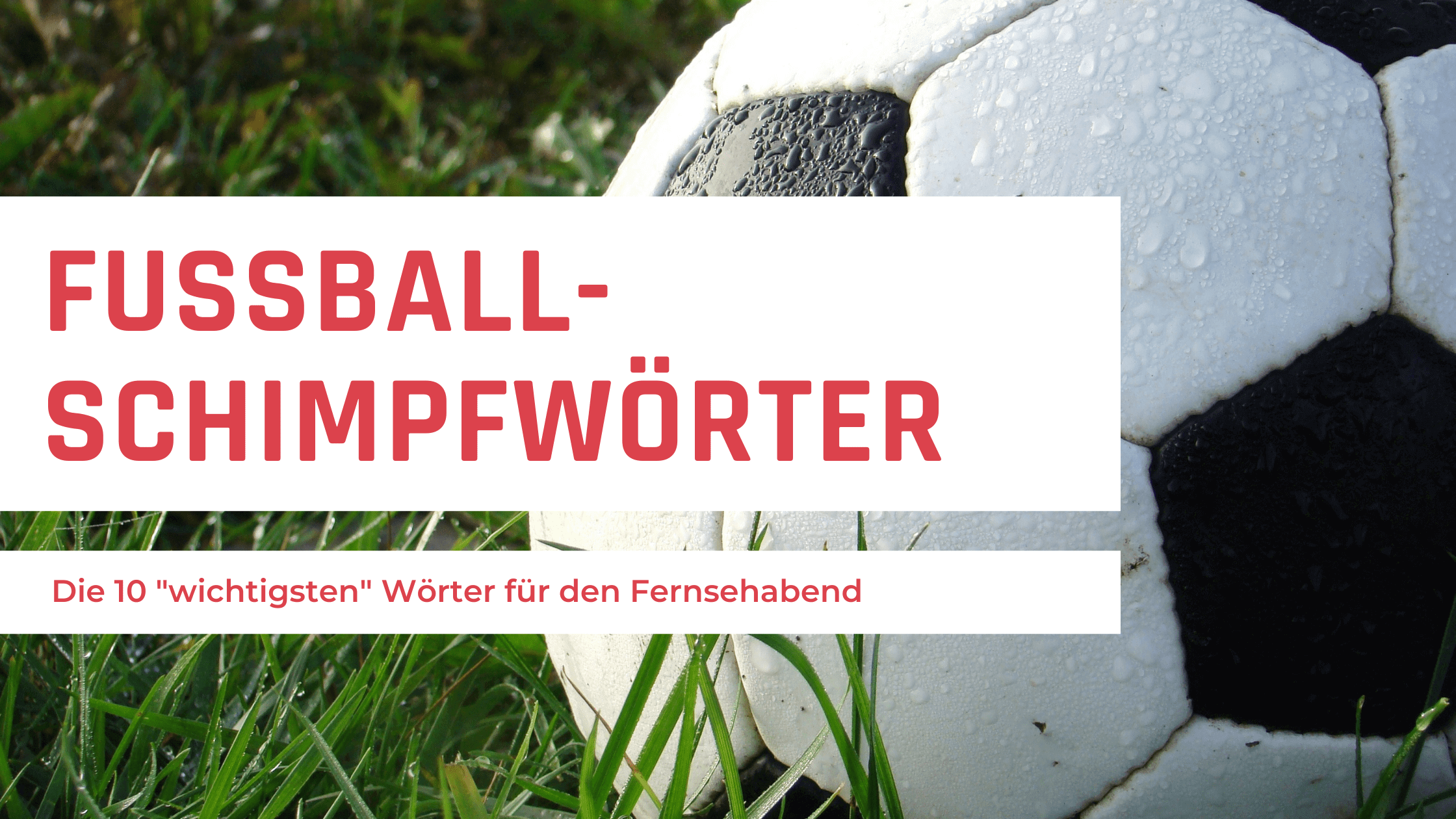 10 wichtige deutsche Wörter zum Fußballschauen